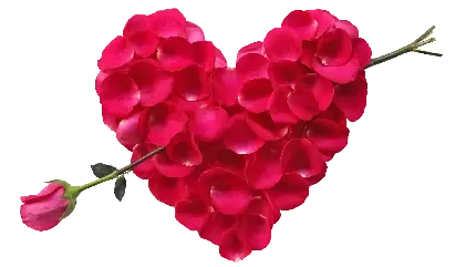  عکس قلب های کوچک قرمز فانتزی