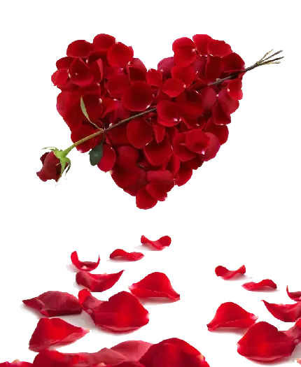  عکس قلب های کوچک قرمز فانتزی