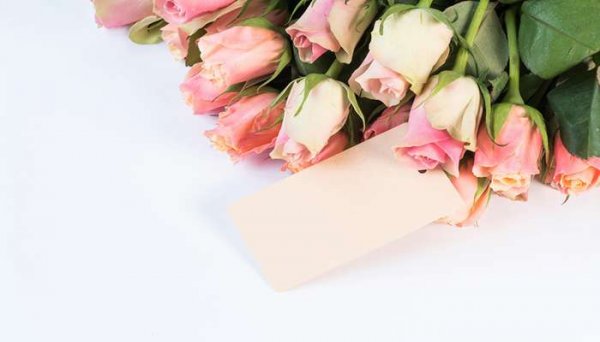  تصویر زمینه سبد گل رز صورتی