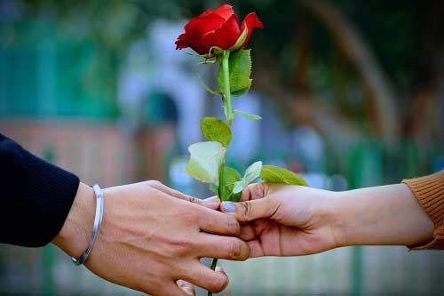  والپیپر دسته گل رز قرمز عاشقانه