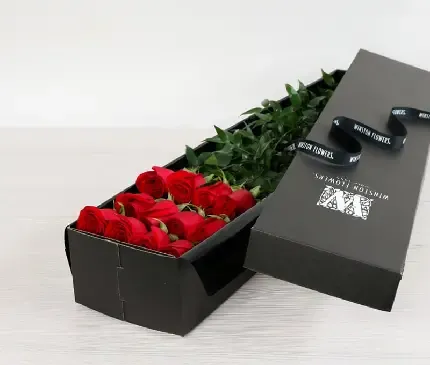  تصویر زمینه دسته گل رز قرمز برای کامپیوتر