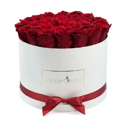  تصویر زمینه دسته گل رز قرمز برای کامپیوتر