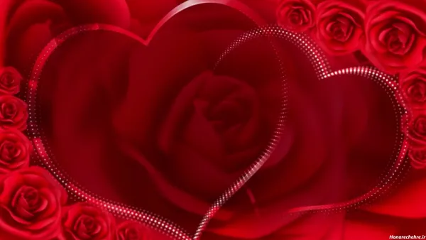  تصویر زمینه گل رز قرمز متحرک و زیبا