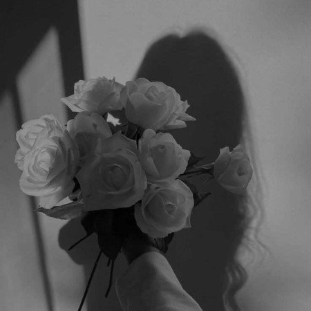  عکس دسته گل خواستگاری فیک