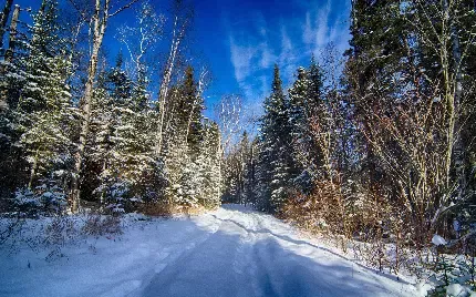  عکس پس زمینه کوهستان برفی با کیفیت بالا