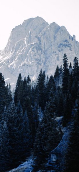 تصویر زمینه کوه و دشت