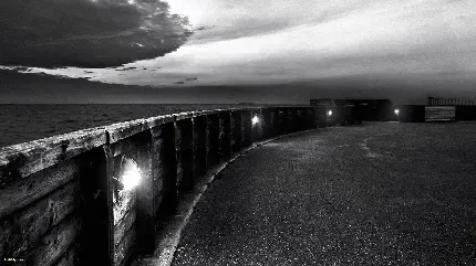  تصویر زمینه سیاه سفید جنگل