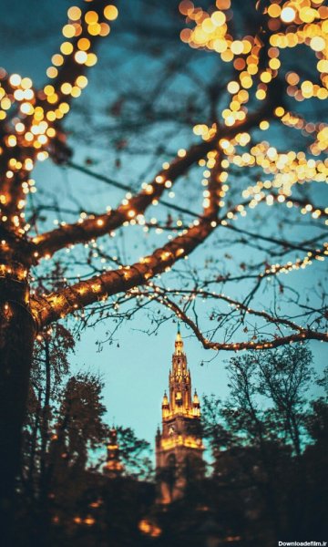  عکس تصویر زمینه درخت با کیفیت بالا