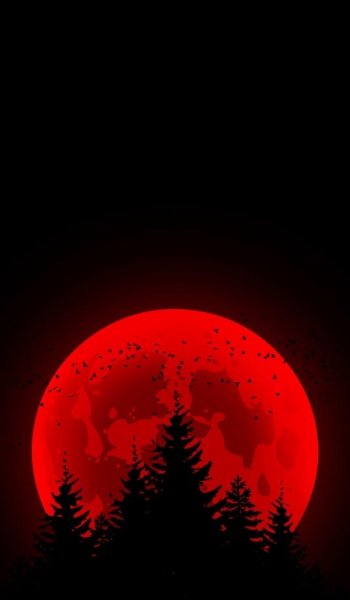  پس زمینه جنگلی سبز