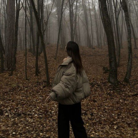  پس زمینه جنگلی سبز