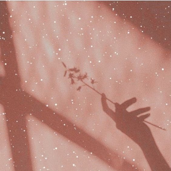  عکس صورتی ساده با کیفیت عالی