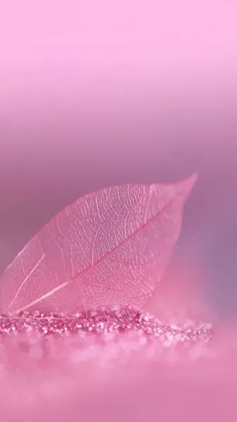  بک گراند دخترانه صورتی جدید