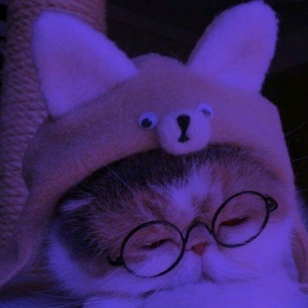  پس زمینه پینترستی بنفش