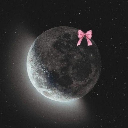  عکس بک گراند پاپیون