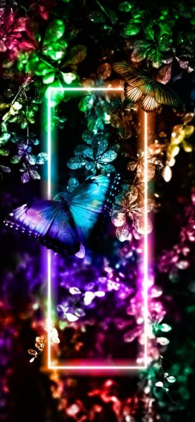  عکس بک گراند پروانه