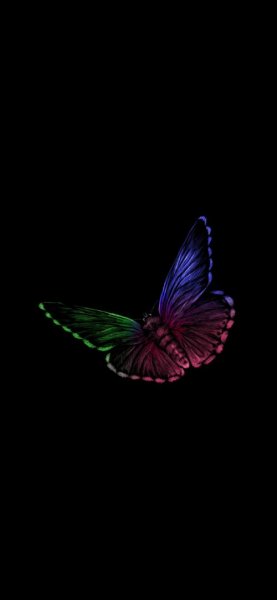  عکس بک گراند پروانه