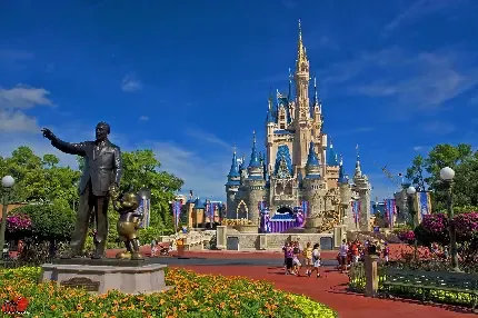 عکس دیزنی لند برای پروفایل