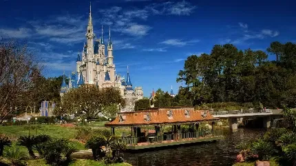  عکس دیزنی لند برای پروفایل