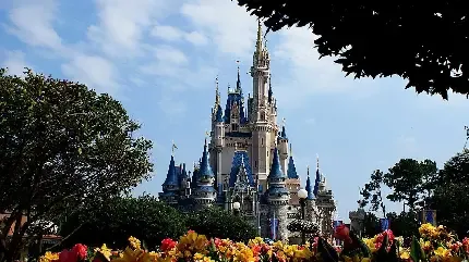  عکس دیزنی لند برای پروفایل