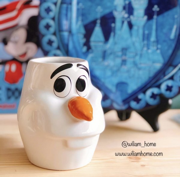  عکس داخل دیزنی لند