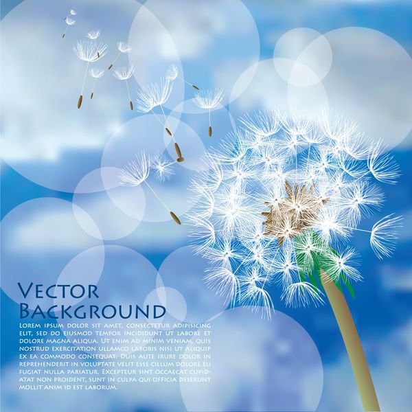  والپیپر زیست شناسی