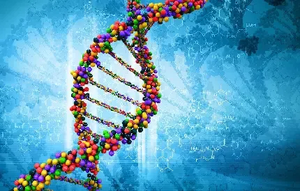 عکس دی ان ای DNA انسان