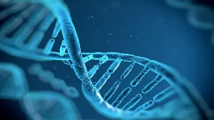  عکس دی ان ای DNA انسان
