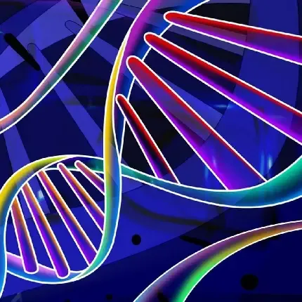  عکس دی ان ای DNA انسان