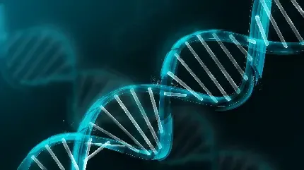  عکس دی ان ای DNA انسان