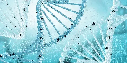  عکس دی ان ای DNA انسان