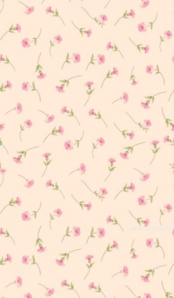  بک گراند دخترانه لپ تاپ