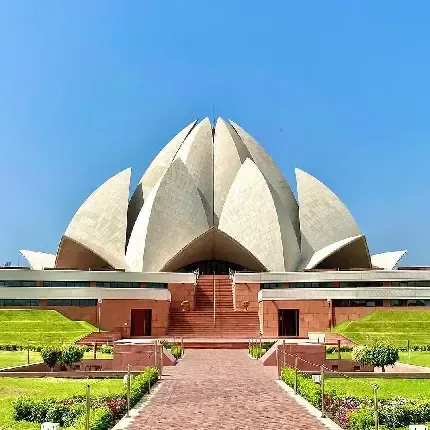  عکس گل نیلوفر مرداب