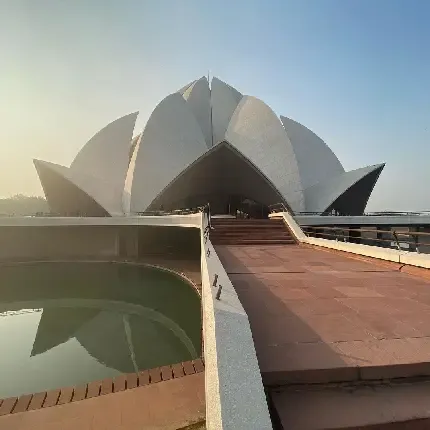  عکس گل نیلوفر آبی برای اینستاگرام