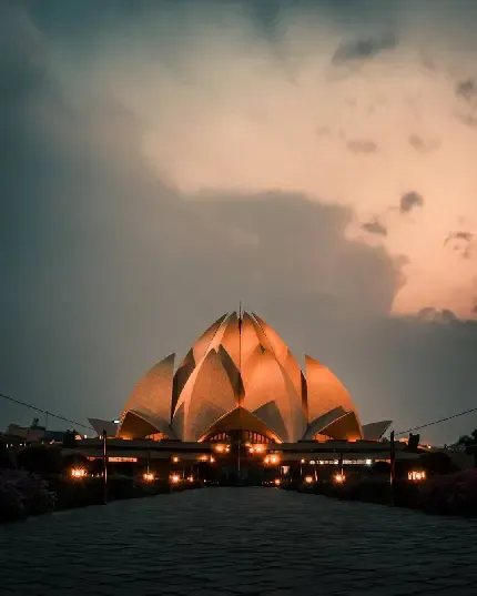  عکس گل نیلوفر آبی برای اینستاگرام