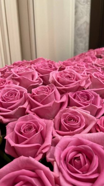  عکس استوری گل