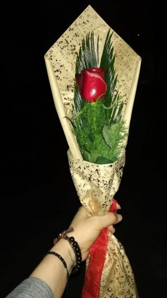  عکس استوری گل