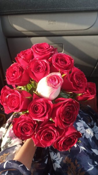  عکس استوری گل