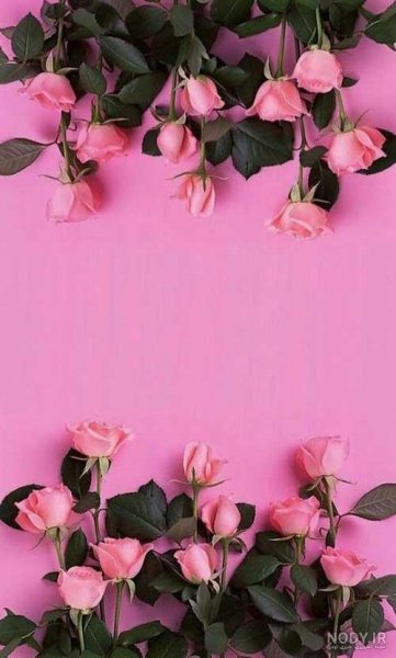  بک گراند گل