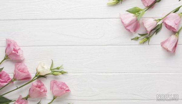  بک گراند گل