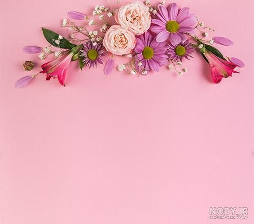  بک گراند گل