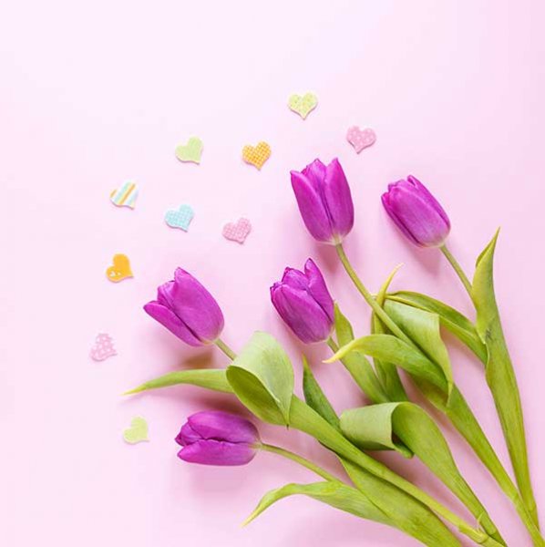  عکس گل لاله برای پروفایل