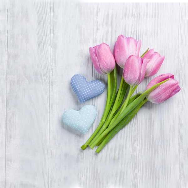  عکس گل لاله برای پروفایل