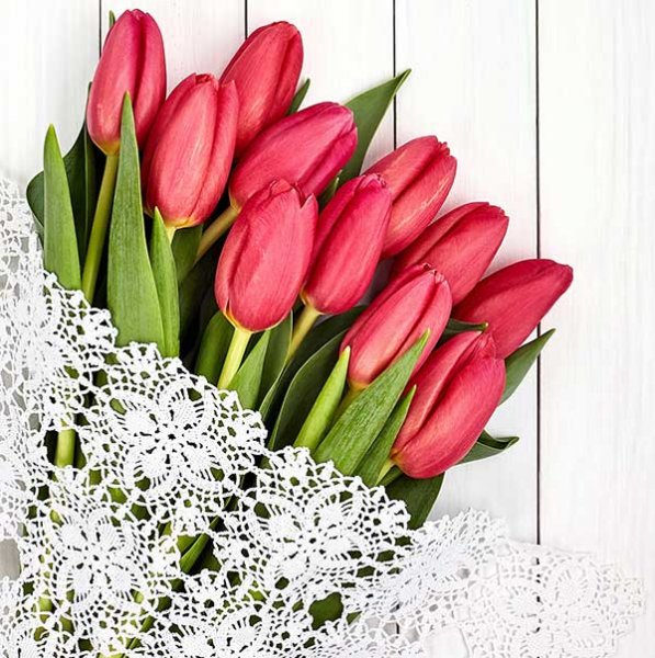  عکس گل لاله برای پروفایل