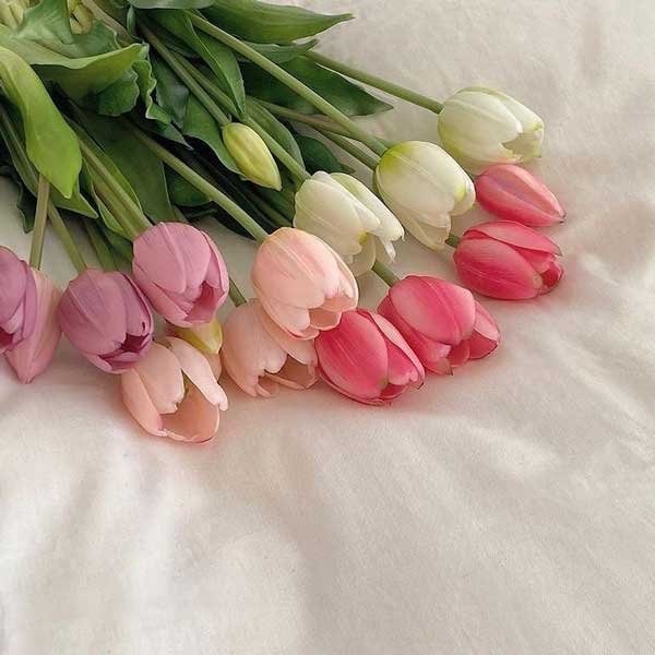  عکس گل لاله برای پروفایل