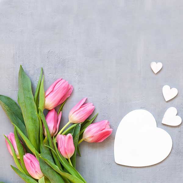  عکس گل لاله برای پروفایل