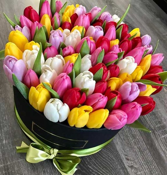  عکس گل لاله برای پروفایل