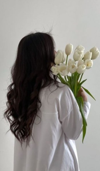  عکس گل لاله قرمز و سفید