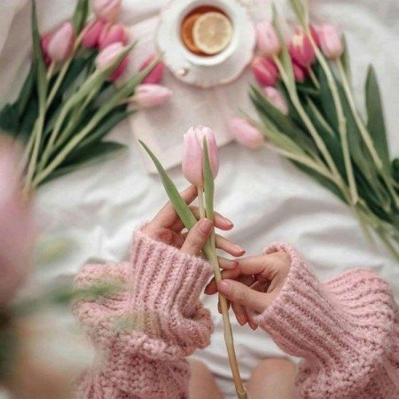  عکس گل لاله قرمز و سفید