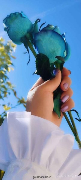 عکس گلهای بسیار زیبای جهان برای پروفایل