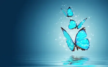 بک گراند پروانه ابی